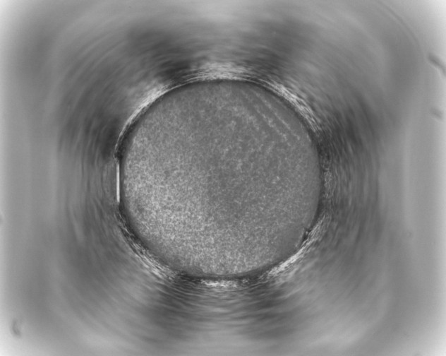 X0000093461219200711021128