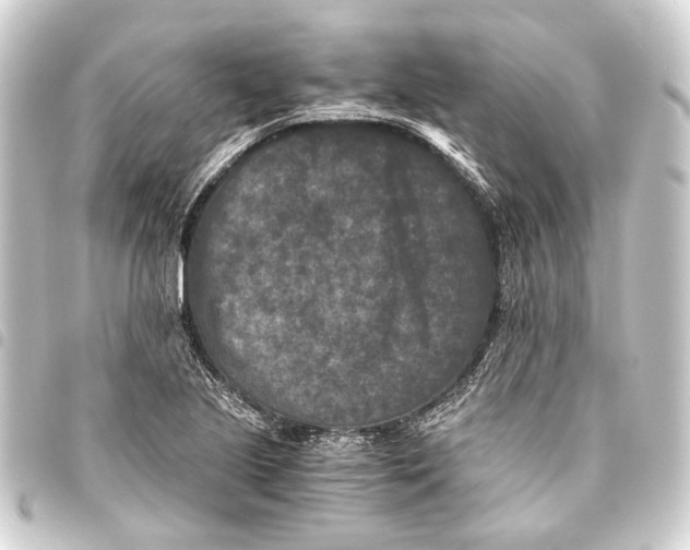 X0000093461221200711021128