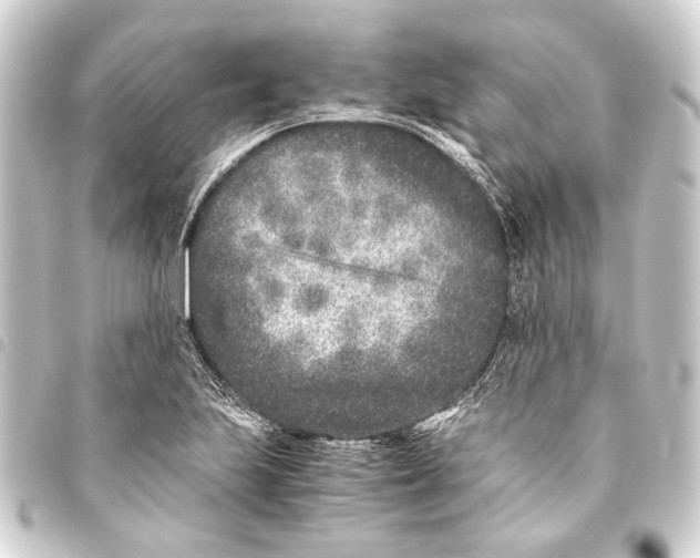 X0000093461223200711021128