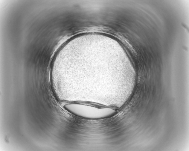 X0000093461224200711021128