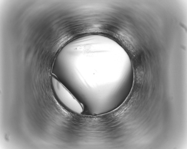 X0000093461225200711021128