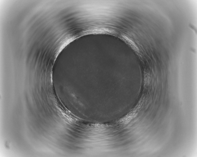 X0000093461226200711021128