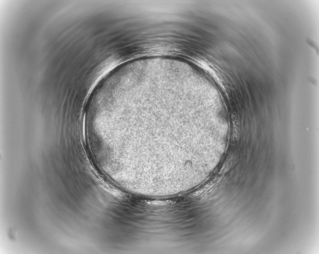 X0000093461227200711021128