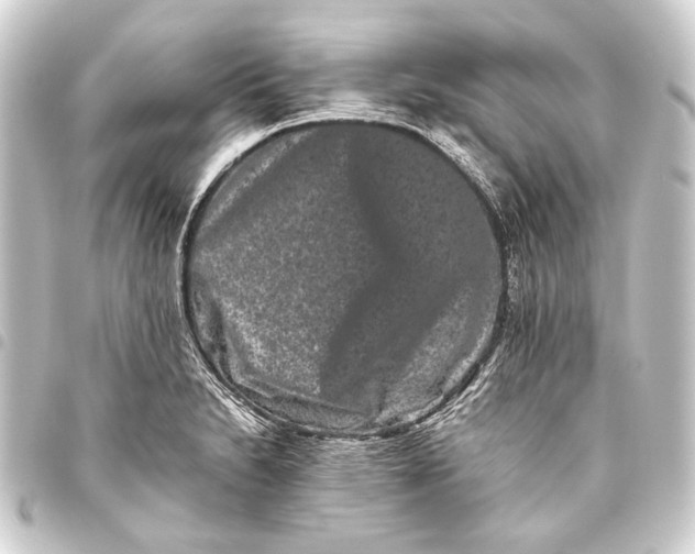 X0000093461230200711021128