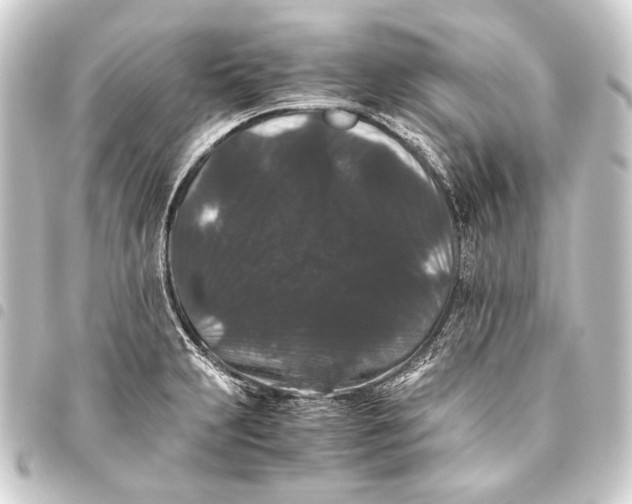 X0000093461231200711021128