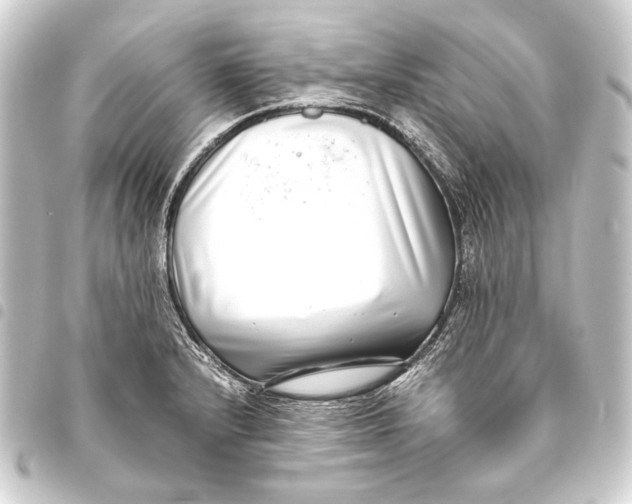 X0000093461232200711021128