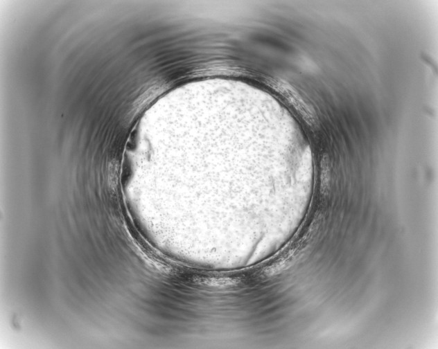 X0000093461233200711021128