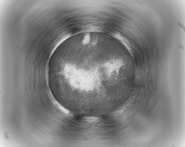 X0000093461235200711021128