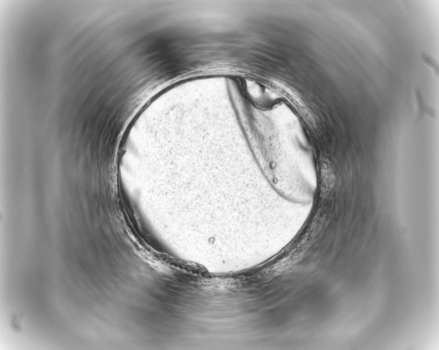 X0000093461236200711021128