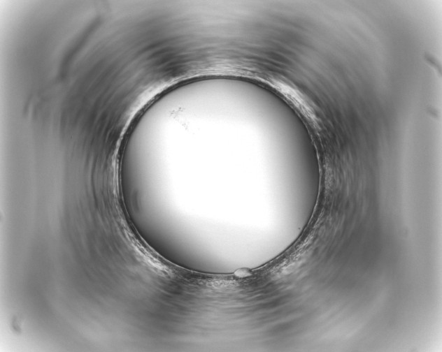 X0000093461238200711021128