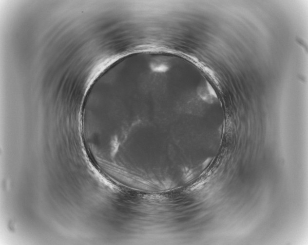 X0000093461239200711021128