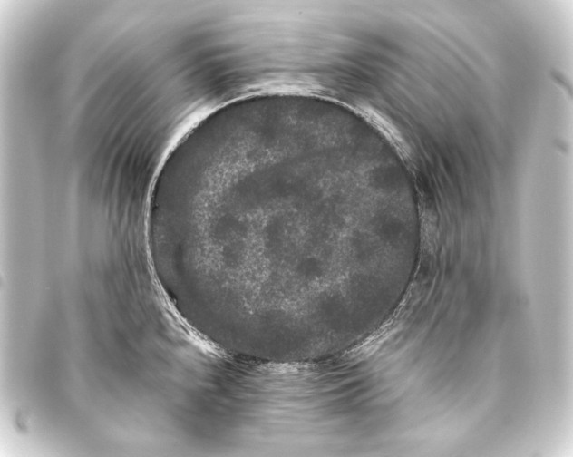 X0000093461240200711021128