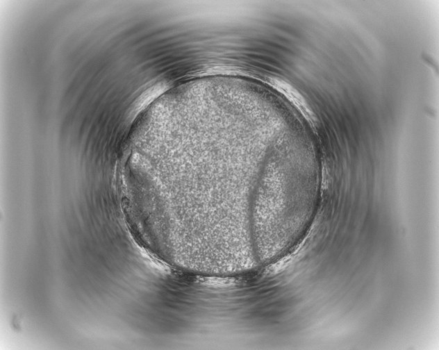 X0000093461241200711021128