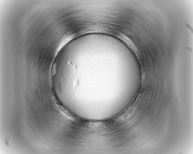 X0000093461242200711021128