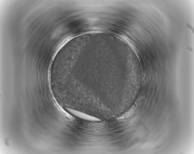 X0000093461243200711021128