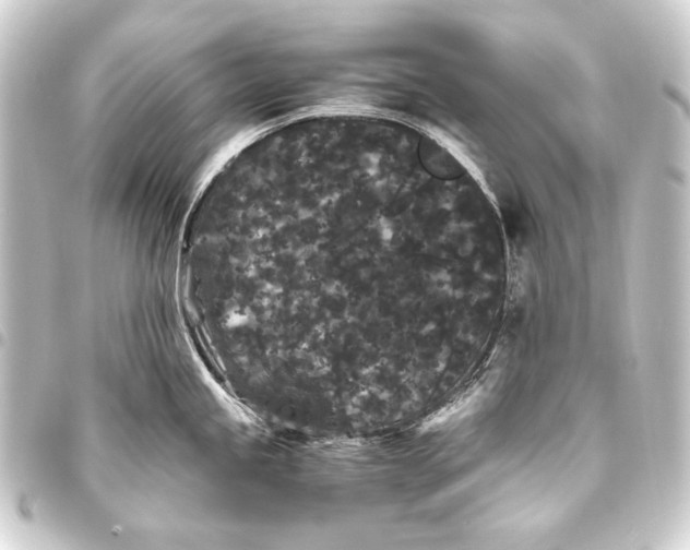 X0000093461245200711021128