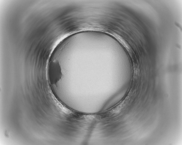 X0000093461246200711021128