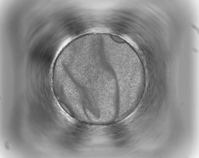 X0000093461248200711021128