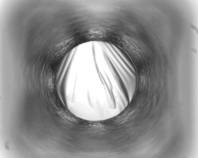 X0000093461250200711021127