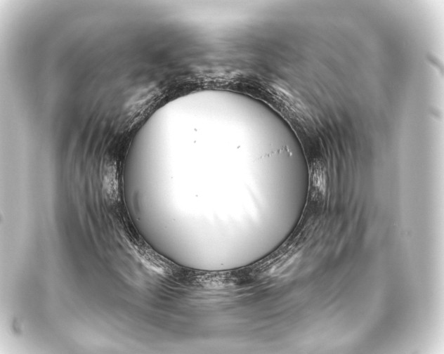 X0000093461252200711021127