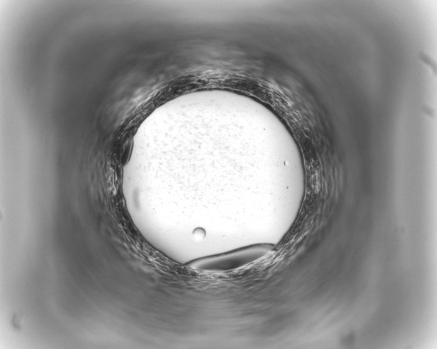 X0000093461253200711021127