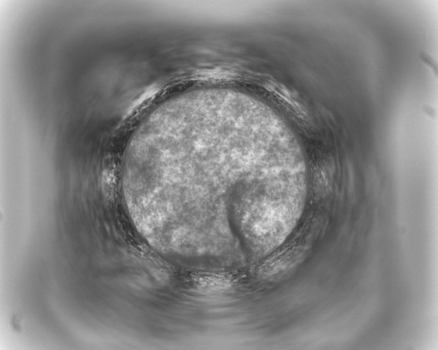 X0000093461254200711021127