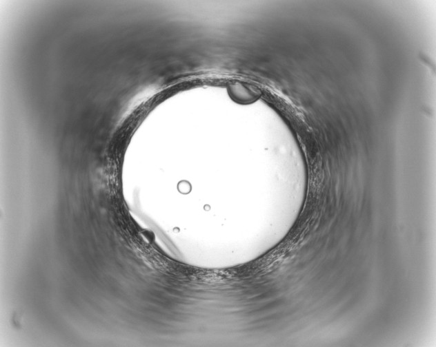 X0000093461255200711021127