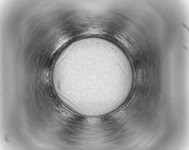 X0000093461258200711021127