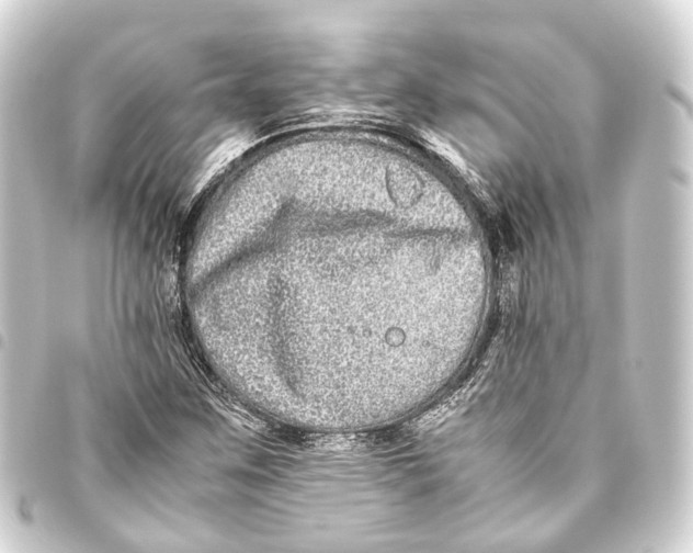 X0000093461259200711021127