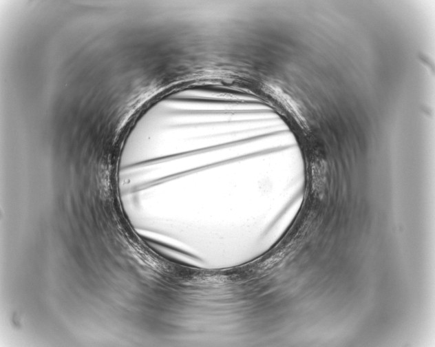 X0000093461260200711021127