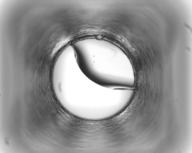 X0000093461261200711021127