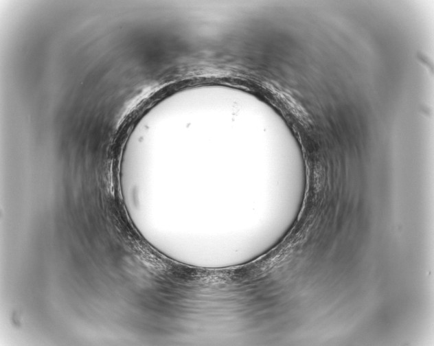 X0000093461262200711021127