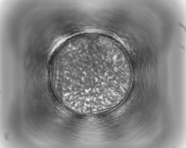 X0000093461263200711021127