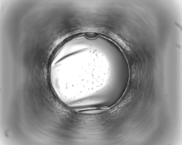 X0000093461264200711021127