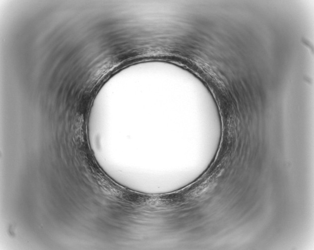 X0000093461265200711021127