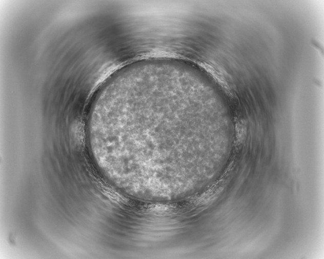 X0000093461266200711021127