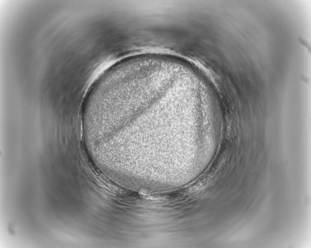 X0000093461271200711021127