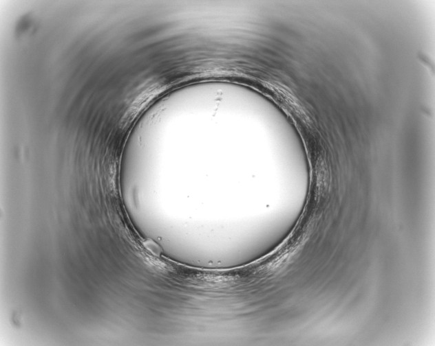 X0000093461273200711021127