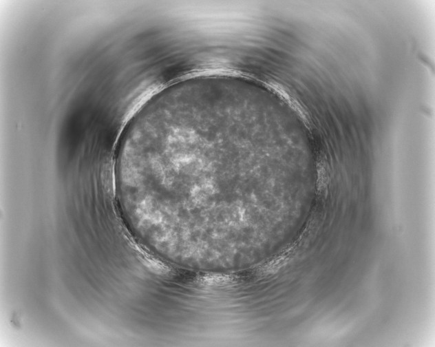 X0000093461274200711021127