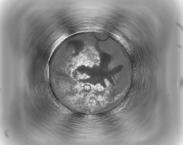 X0000093461275200711021127