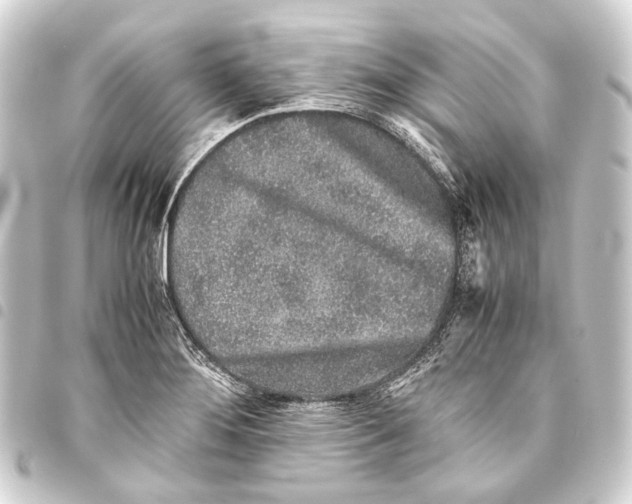 X0000093461276200711021127