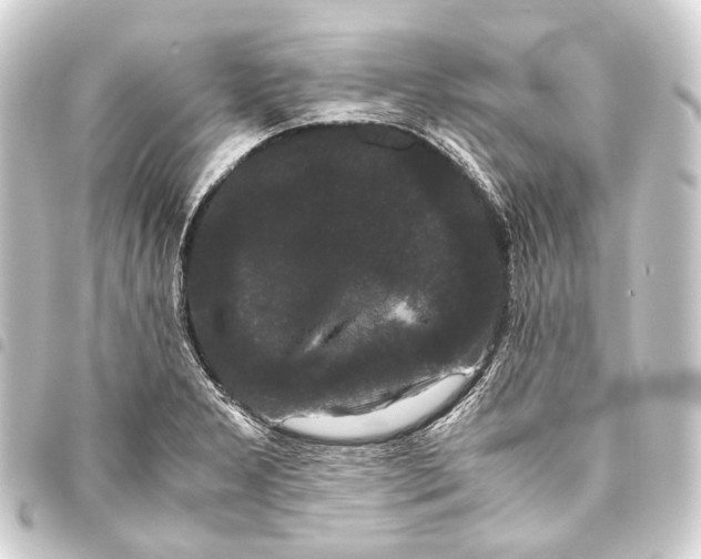 X0000093461277200711021127