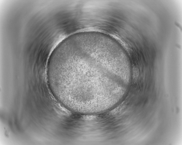 X0000093461278200711021127