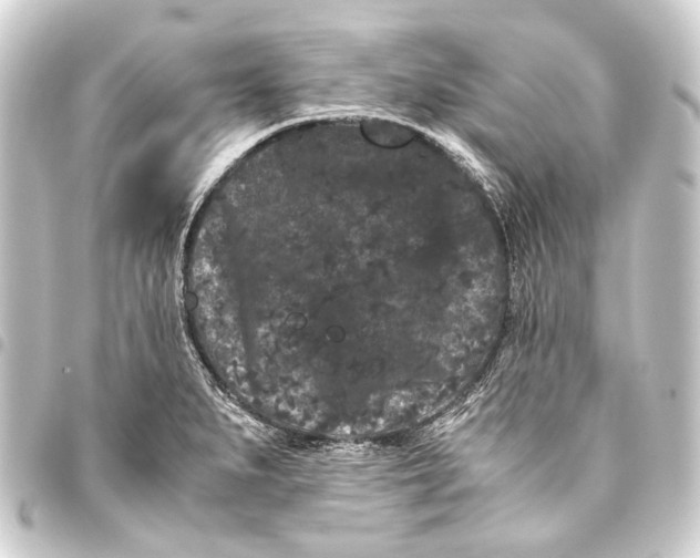 X0000093461279200711021127