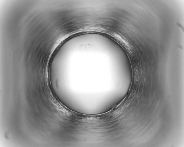 X0000093461280200711021127