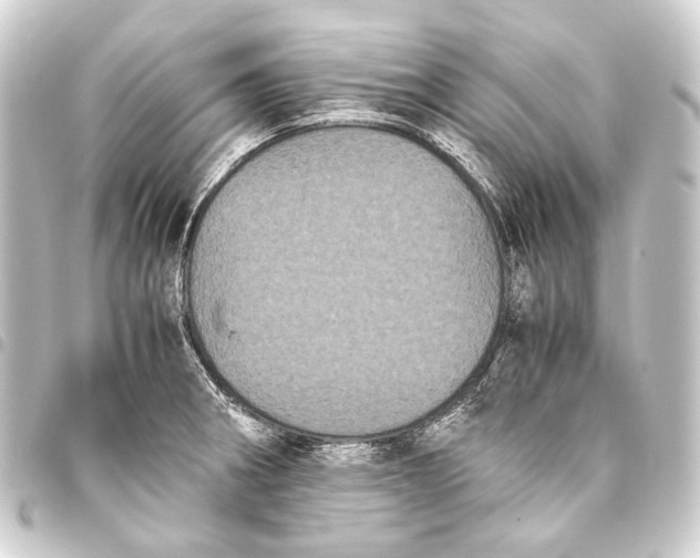 X0000093461282200711021127