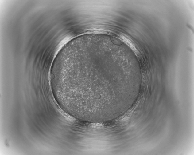 X0000093461283200711021127