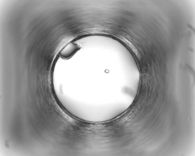 X0000093461285200711021127