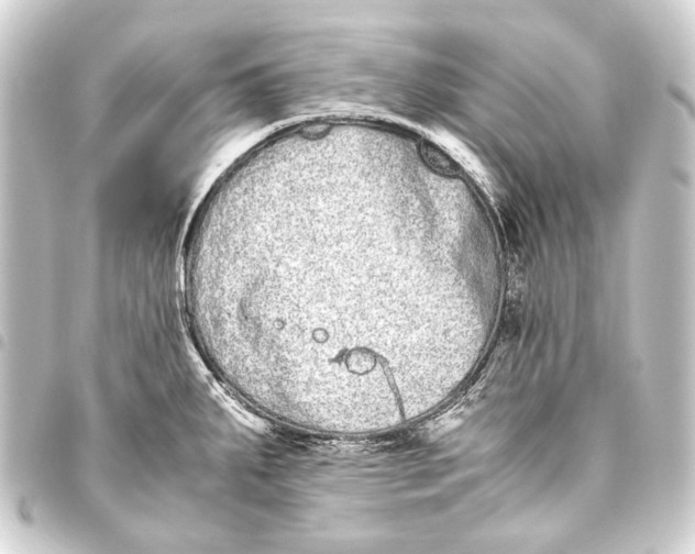 X0000093461287200711021127