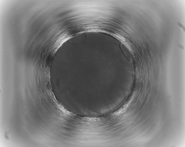 X0000093461289200711021127